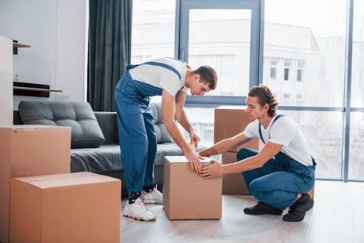 Professional Movers